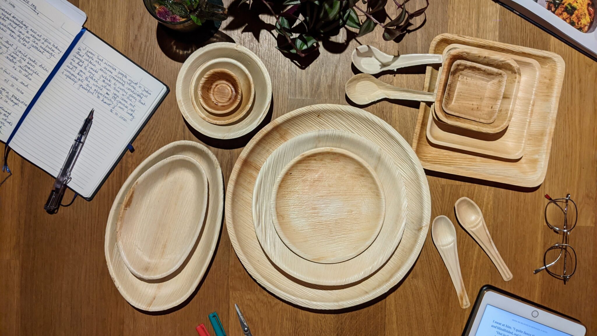 areca-palm-leaf-plates-bowls-and-cutlery-manufacturer-bio-box-india